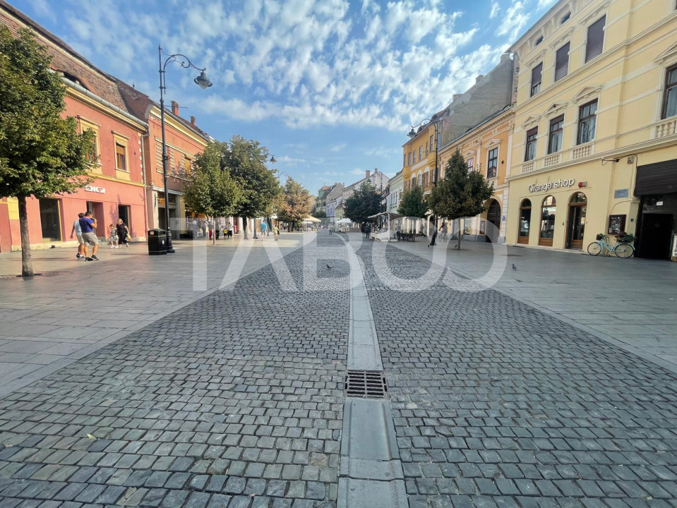 Apartament  renovat cu 3 camere 65 mpu etaj 1 Centrul Istoric-Balcescu